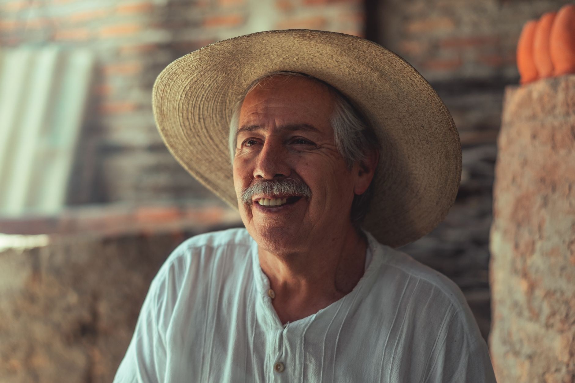 Hombre mayor sano y tranquilo al aire libre